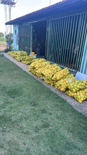 Chácara com 48.400 m² (1) ALQUEIRE - Zona Rural - São Miguel do Passa Quatro/GO