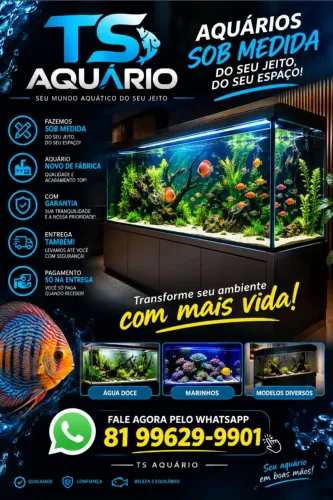 Aquário Novos de Fábrica, Diversos tamanhos, fazemos entrega, orçamento pelo whatsapp 