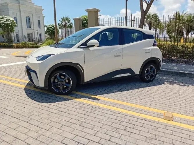 Dolphin Mini GS 2025