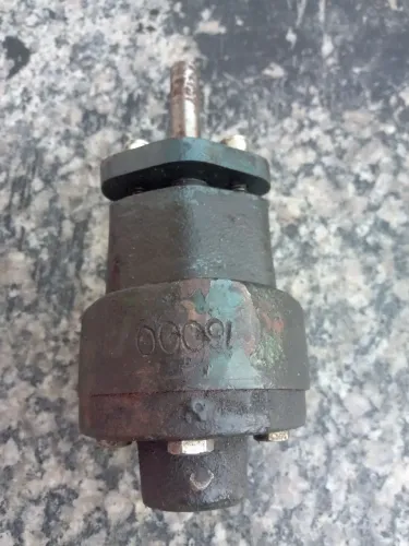 Bomba de Engrenagens 3/4"