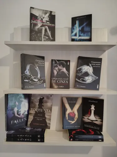 Livros usados em excelente estado - Fallen, Crepúsculo e mais