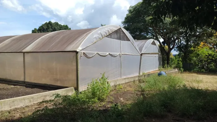 Excelente Fazenda a venda em Barra do choça café e pecuária