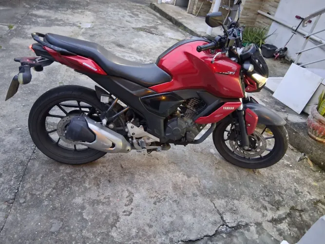 Fz15 2023 