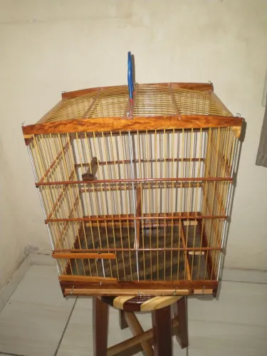 Gaiola Nova Excelente Qualidade Da Madeira No Precinho