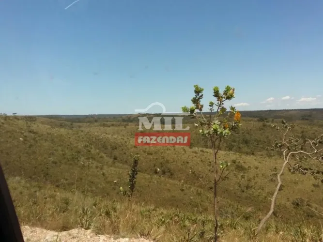 Fazenda em Campo Alegre de Goiás - 95 Alqueires (459 ha)