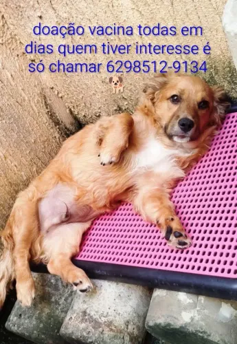 Doação 