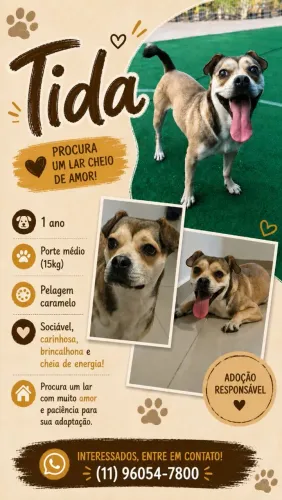 Adoção Responsável