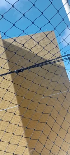 Rede de Ptoteção
