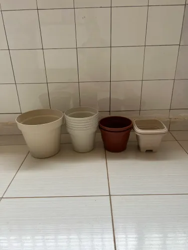 Vasos de plantas