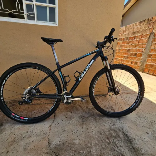 Caloi vitus