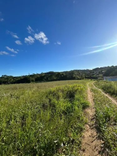 Imóvel para venda tem 500 metros quadrados em Vila Santo Antônio - Cotia - SP
