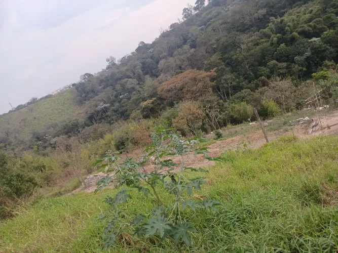 Terreno troco por moto ou carro