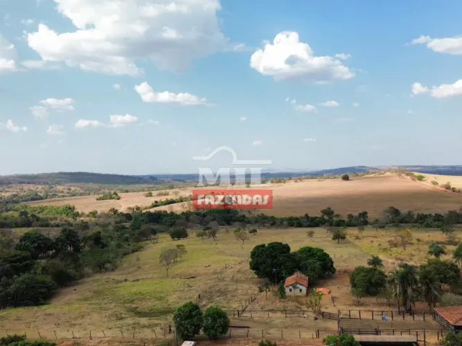 Fazenda 10 Alqueires em Amorinópolis - GO