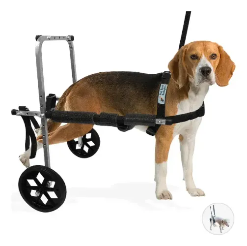Cadeira de rodas com 2 rodas para cachorros tamanho Médio