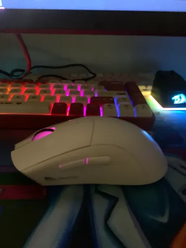 Mouse smallwolf