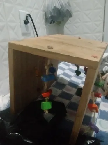 toca interativa para roedores e coelhos g