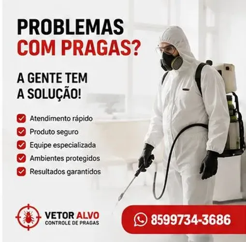 Dedetização - Dedetização