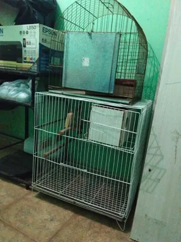 Gaiola de passarinho