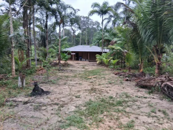 Vendo sítio ZF5