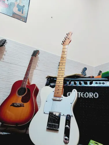 Guitarra Tagima Telecaster TW55