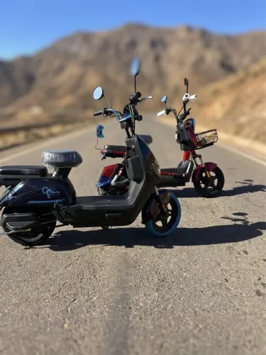 Moto elétrica 1000 watts