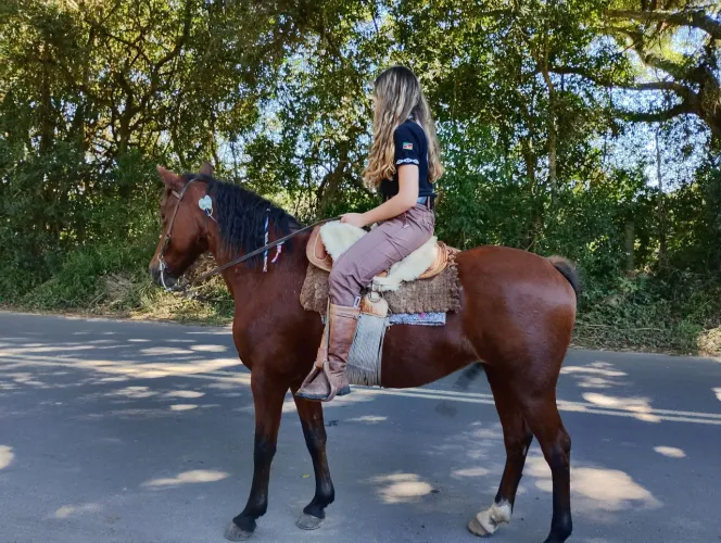 Cavalo