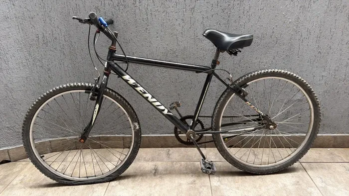 Bicicleta
