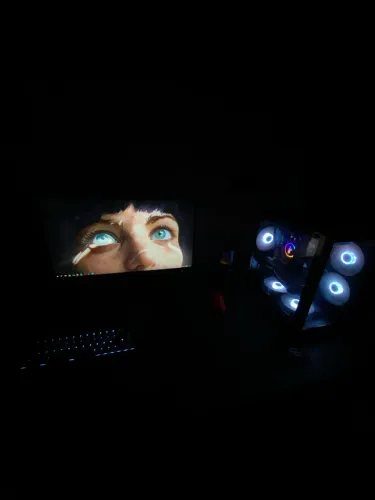 Monitor