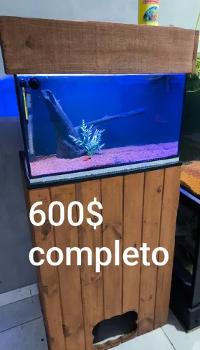 Aquário 90 lts. Completo!!!