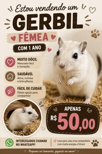 Esquilo da Mongólia fêmea 