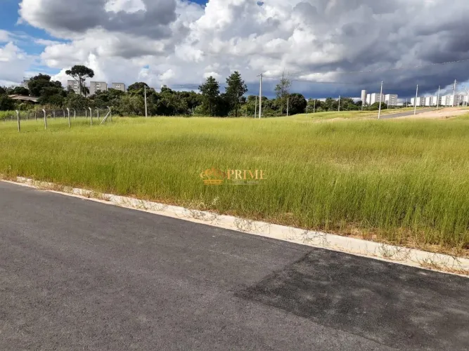 terreno - Parque Universitário de Viracopos - Campinas