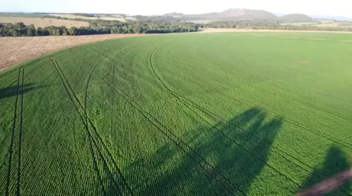 Fazenda a venda, em Santa Rita Novo Destino - Goiás!