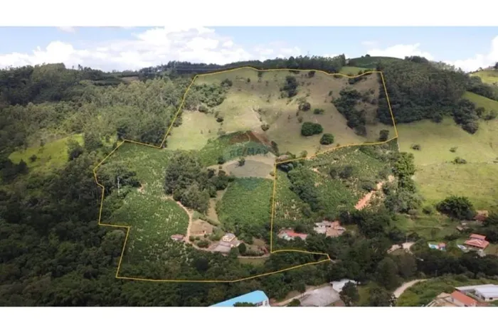 Sítio produtivo com renda anual de R$ 180 mil.
