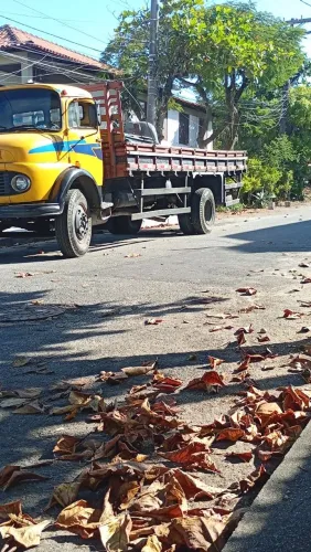 Frete ou agrego caminhão carroceria 6 MT 50cm