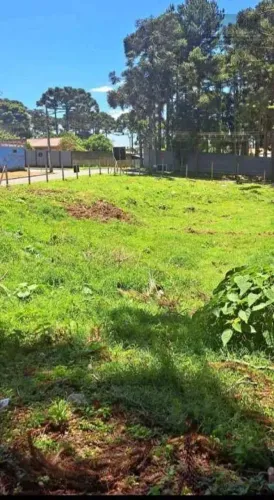 Terreno a venda na Fazenda Rio Grande