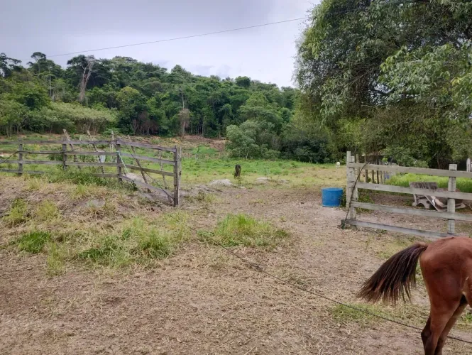 Terreno em Papucaia - Cachoeiras de Macacu