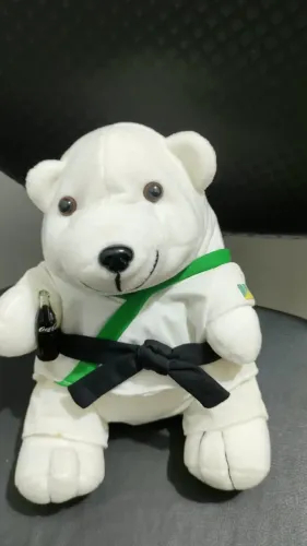 Urso Polar De Pelúcia Coca-cola Judô Un1481 (Usado)Urso Polar De Pelúcia Coca-cola Judô Un