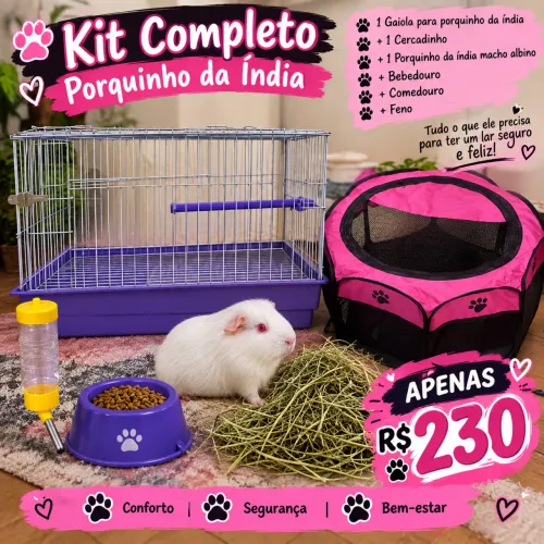 Porquinho da índia