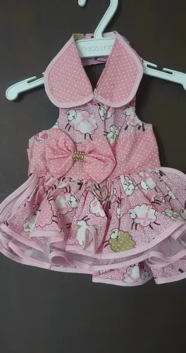 Vestidos pet