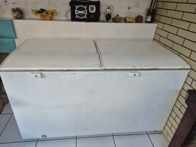 Freezer duas portas Electrolux