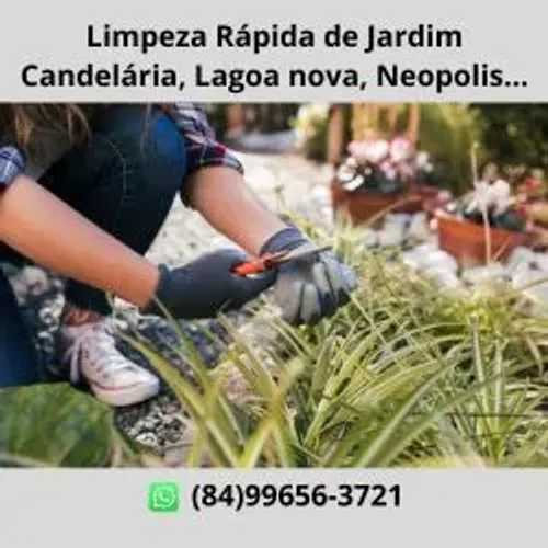 Limpeza de Jardim, Terreno em Natal RN (Cidade Satélite)
