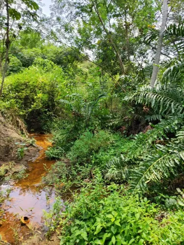 Granja com 11.2 hectares em cobe município de Vera cruz