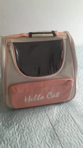 Transporte para gatos