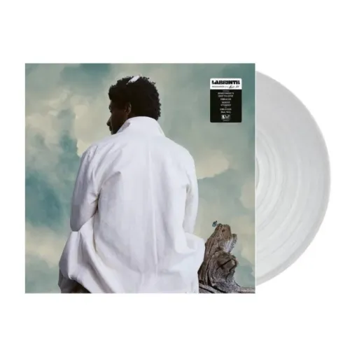 Disco de Vinil Labrinth - Imagination & the Misfit Kid (LP importado)