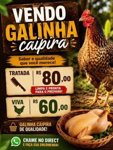 Galinha caipira