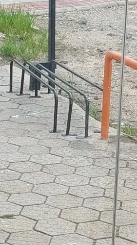 Arara preta