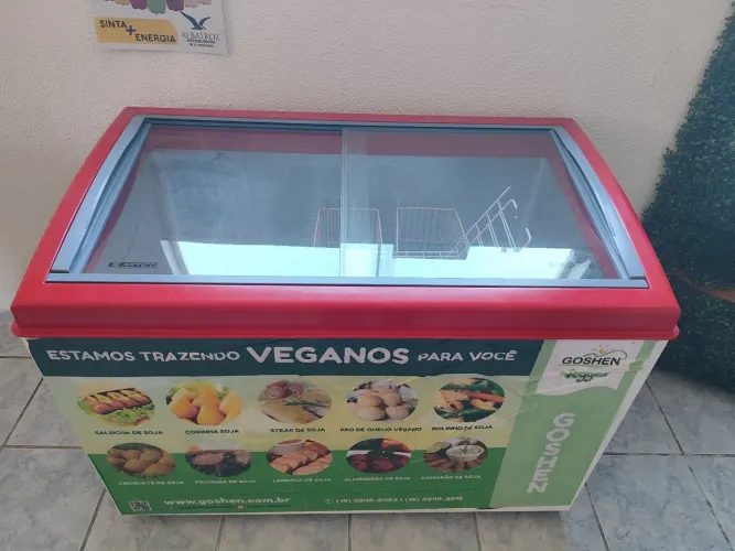 Freezer Expositor- Ótimo estado, 66- *