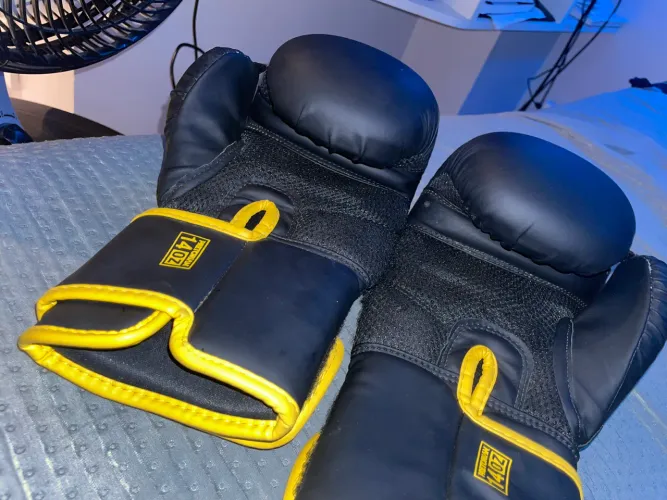 Luvas de Boxe/Muay Thai Pretorian Elite 14oz - Excelente Estad
