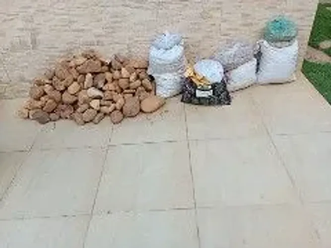 Vendo pedras de jardim e seicho amarelada 200reais