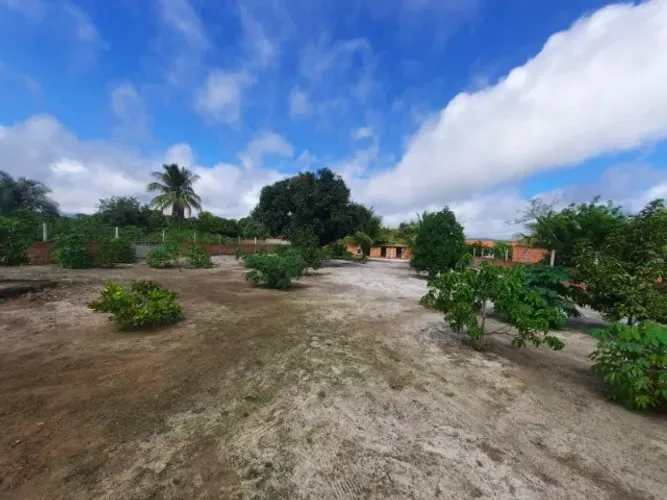 OPORTUNIDADE! SÍTIO À VENDA EM SERRINHA - BA - 3.000 m² - A 6 KM DO CENTRO